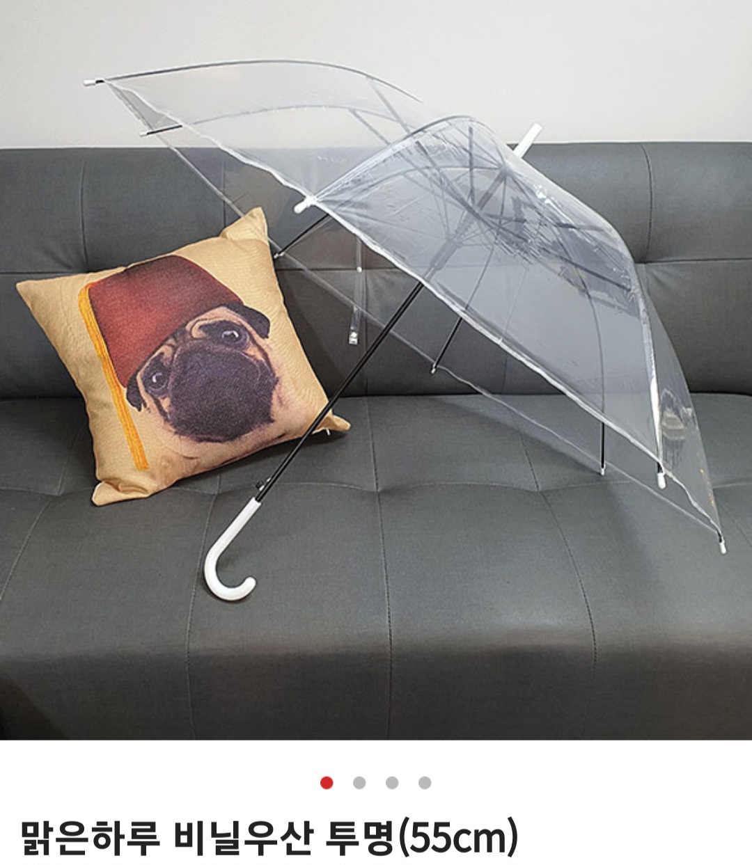 235149625_mZay7lLx_2613041596bb467bf2084c5247ce226c864dc0db.jpg 이미지크게보기